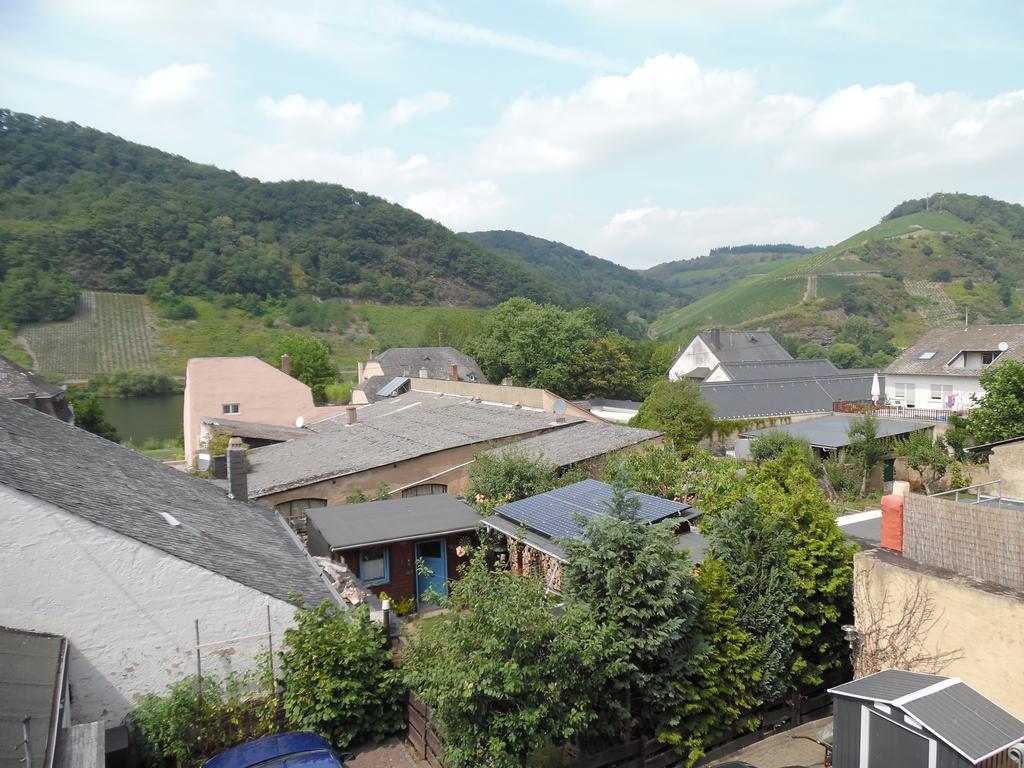 Ferienwohnung In Vino Veritas Neumagen-Dhron Exteriér fotografie